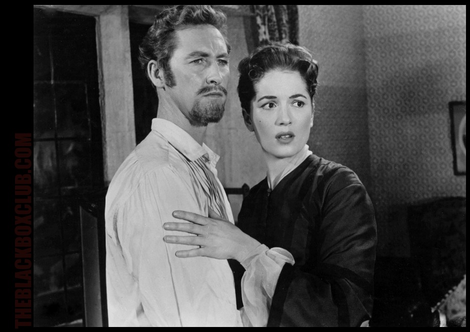 Barbara Shelley Hammer